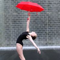 Birchwood Ballet Academy ico