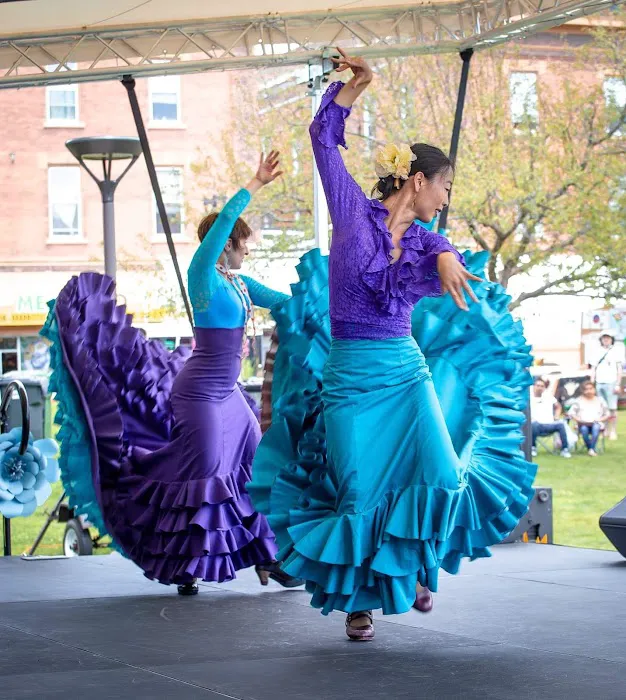 Zorongo Flamenco Dance Theatre Picture 6