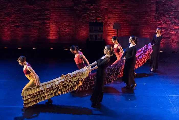 Zorongo Flamenco Dance Theatre Picture 2