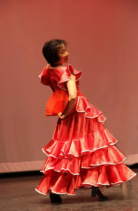 Zorongo Flamenco Dance Theatre Picture 3