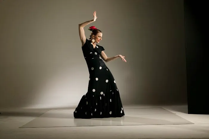 Zorongo Flamenco Dance Theatre Picture 5