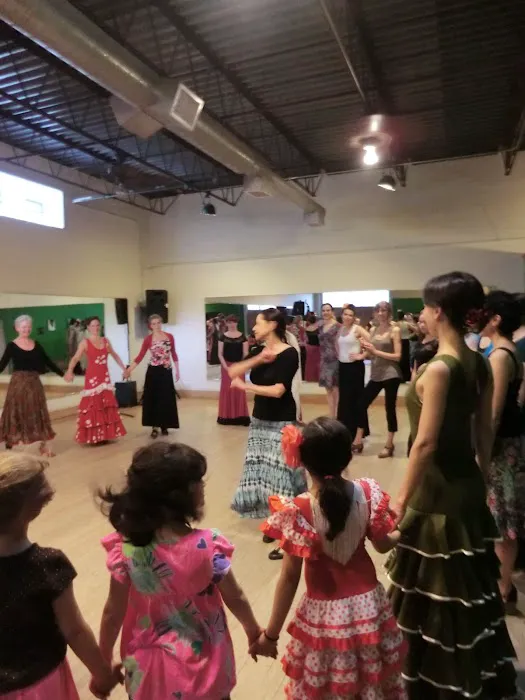 Zorongo Flamenco Dance Theatre Picture 7
