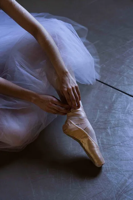 Minnesota Dance Theatre Picture 6