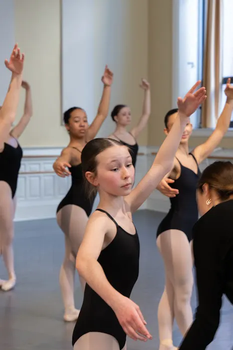Minnesota Dance Theatre Picture 10