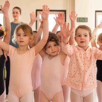Minnesota Dance Theatre ico