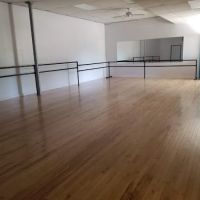 Intrepid Dance Company ico