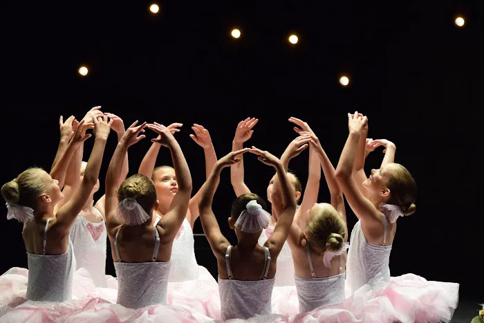 North Ballet Academy Picture 1