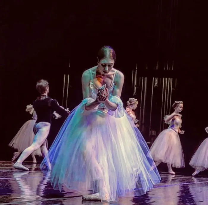 WAYZATA BALLET Picture 1