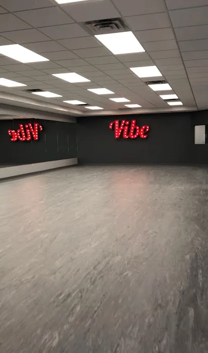 The Vibe Dance and Fitness Picture 2