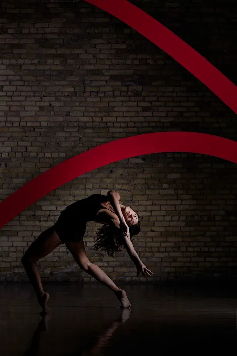 The Vibe Dance and Fitness Picture 4