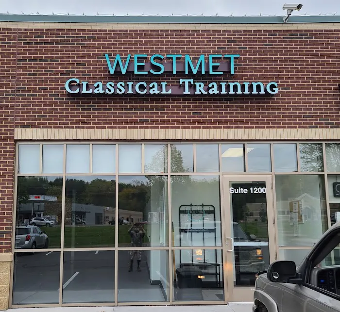 West Met Classical Training Picture 1