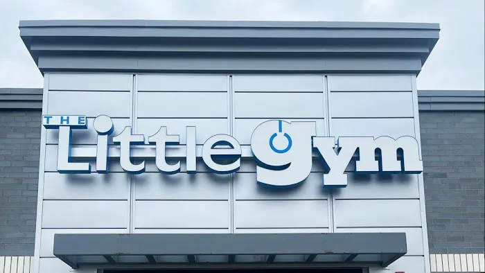 The Little Gym of Otsego Picture 9