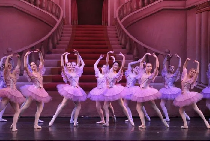 Stroia Dance Studios Picture 1