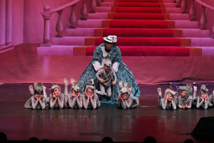 Stroia Dance Studios Picture 5