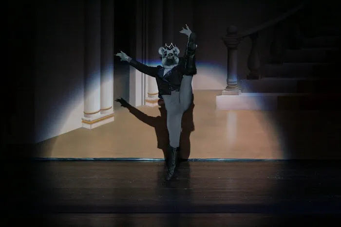 Stroia Dance Studios Picture 8