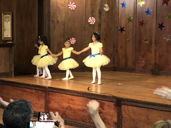 Music, Dance & Art School of Douglaston Picture 3