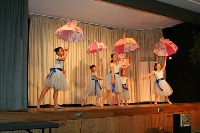 Music, Dance & Art School of Douglaston Picture 8