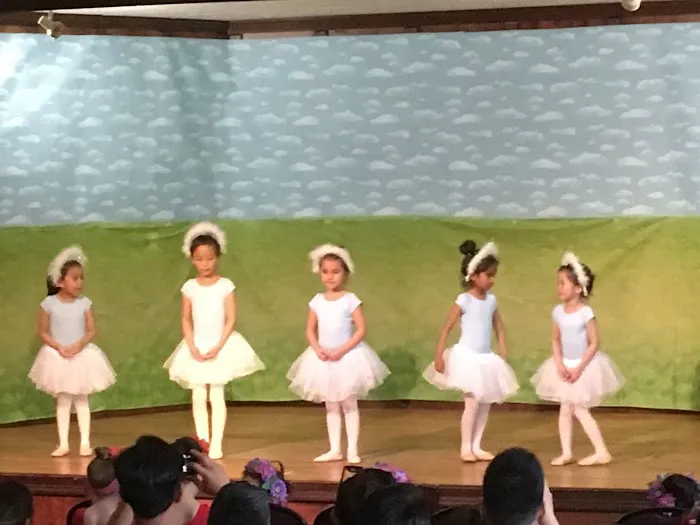 Music, Dance & Art School of Douglaston Picture 5