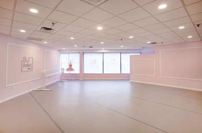 SJ Ballet No 1 Picture 1
