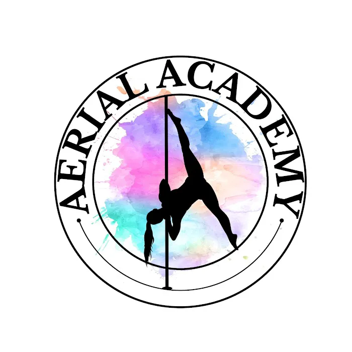 The Aerial Pole Academy Picture 8