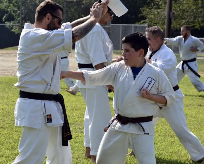 Dewey's Martial Arts Academy Picture 3