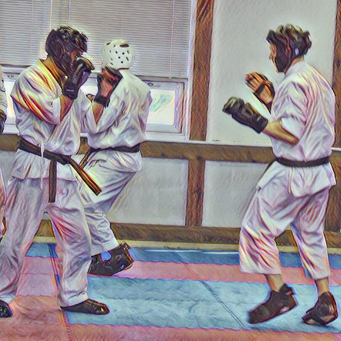 Dewey's Martial Arts Academy Picture 10