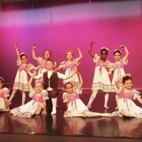 Academy of the Dance / Wilmington Ballet ico