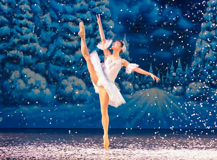 Academy of the Dance / Wilmington Ballet Picture 7