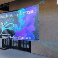 Abundance Academy of Dance ico