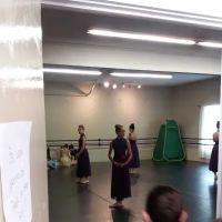 Artistic Dance Conservatory ico