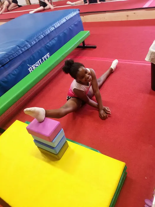 USA Trampoline & Tumbling Academy Picture 1