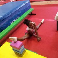 USA Trampoline & Tumbling Academy ico
