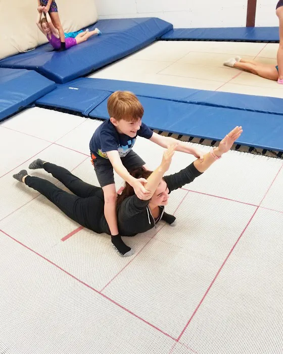 USA Trampoline & Tumbling Academy Picture 8