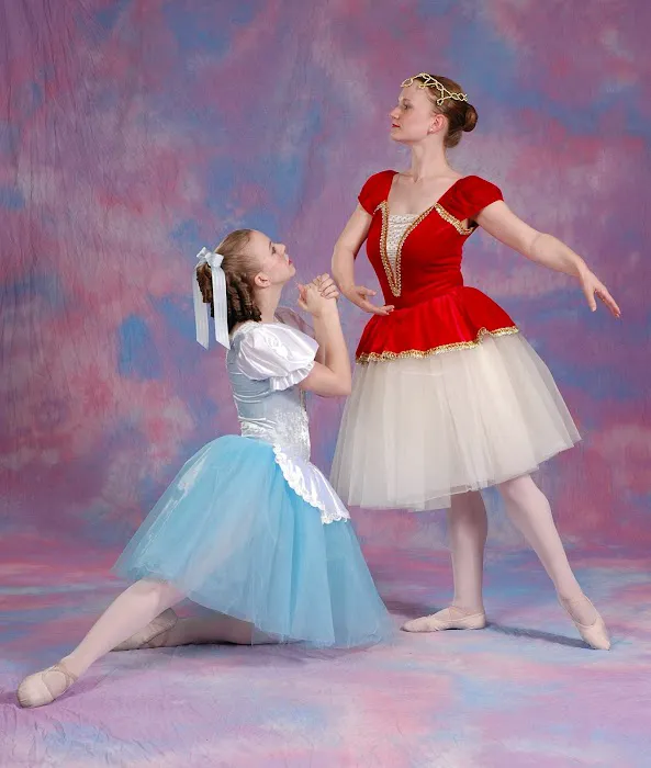 L'Ecole De Danse Picture 10