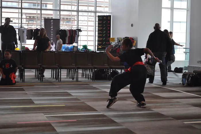 Ling's Wing Chun Kung Fu Academy Picture 5