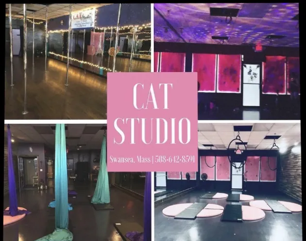 CAT Studio: Airbrush Tan/Aerial Dance/Sports: est. 2008 Picture 10