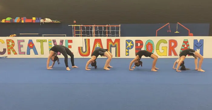 The Dance & Gymnastics Academy Of Dartmouth Picture 5