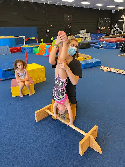 The Dance & Gymnastics Academy Of Dartmouth Picture 7