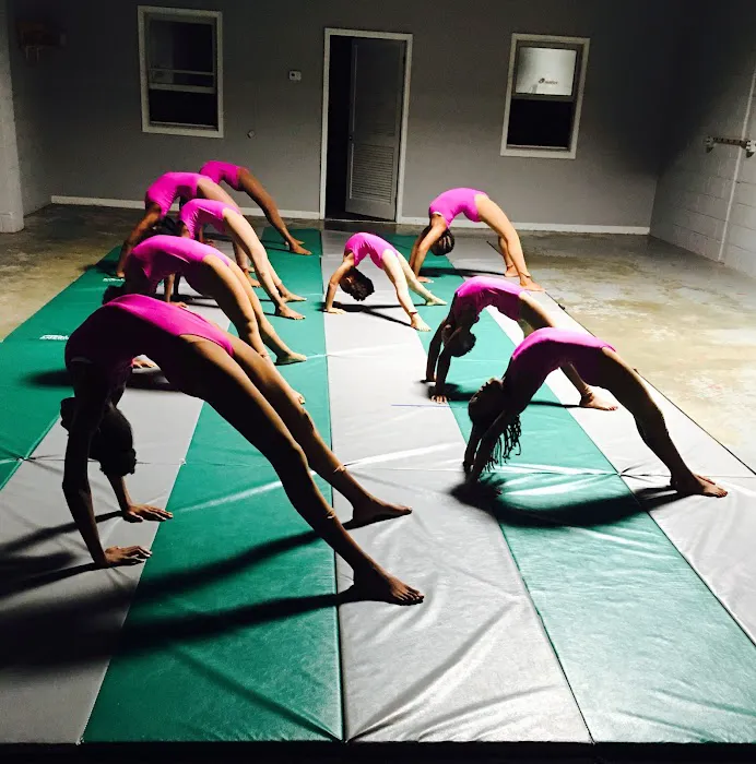 Dynamic Moves Dance Studio Picture 9
