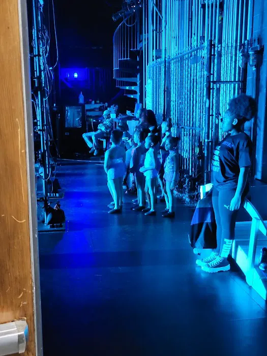 Dance Dimensions Picture 7