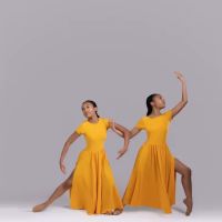 Divine Dance Institute ico