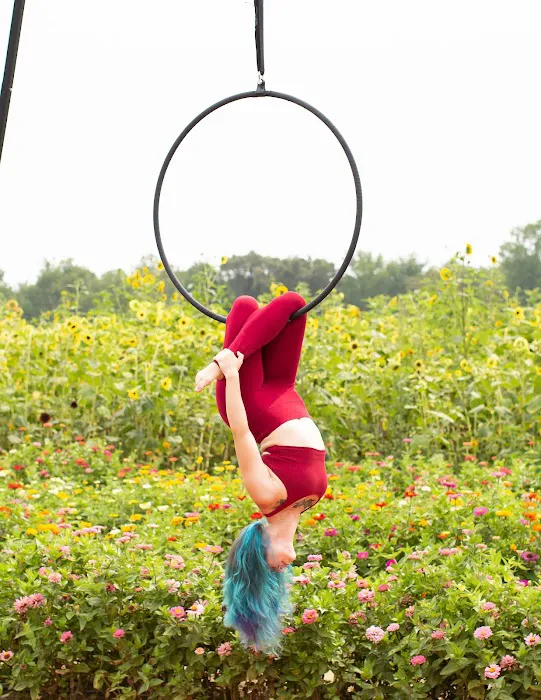 Vertical Dance Co. Picture 4