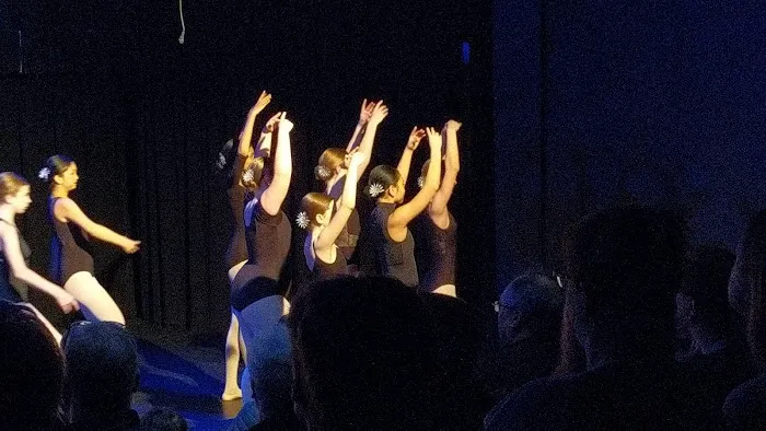 Dance Unlimited Picture 4