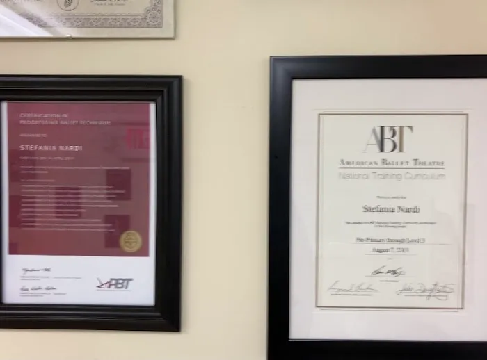 Vermont Center for Dance Education Picture 4