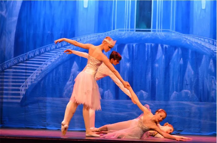 Vermont Center for Dance Education Picture 5