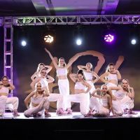The Loudoun School of Ballet ico