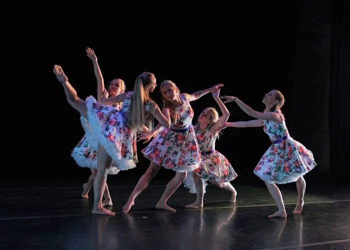 Madison Contemporary Dance Picture 4