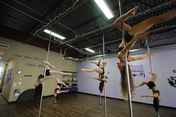 Aerial Dance Green Bay Picture 4