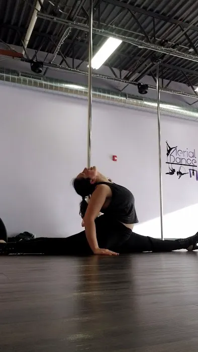 Aerial Dance Green Bay Picture 7