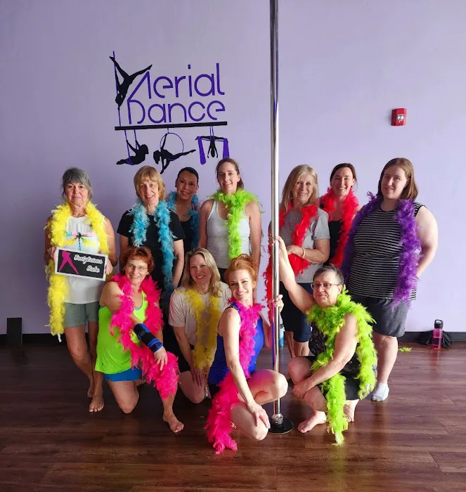 Aerial Dance Green Bay Picture 8